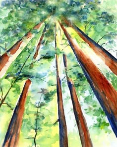 watercolor painting of trees in the forest