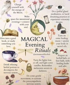 Medicine Plants, Power Of Darkness, Apothecary Herbs, Herb Drink, Lavender Moon, Herbal Tonic, Evening Rituals, Nourish Your Soul