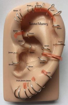 the inside of a human ear with different types of piercings on top of it