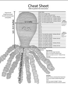 a diagram showing the size and structure of an octopus's head, including its tentacles