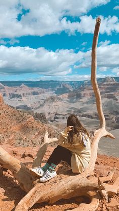 a woman sitting on top of a tree branch at the edge of a canyon with mountains in the background