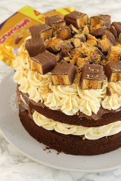 a cake with white frosting and chocolate pieces on top