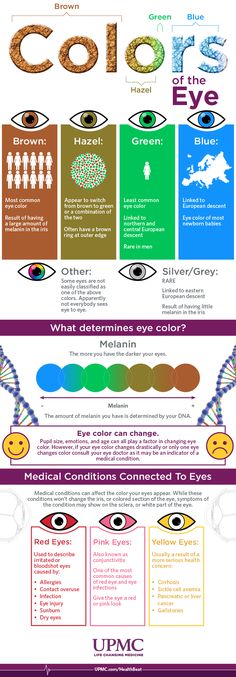 Find out what determines eye color and learn about some medical conditions associated with your eyes in this infographic from the UPMC Eye Center. Different Types Of Eye Colors, Eye Color Spiritual Meaning, All Eye Colors Names, Different Colour Evil Eye Meanings, What Do The Different Color Evil Eyes Mean, Eye Color Genetics, Eye Color Facts, Rare Eye Colors, Eye Color Chart