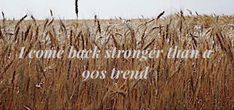 a field with tall grass and a quote written in white on the bottom right corner