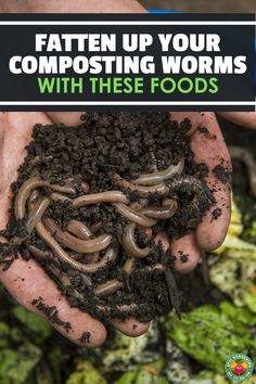 someone holding worms in their hands with the words, eaten up your composting worms with these foods