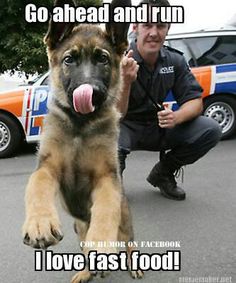 a man kneeling down next to a german shepherd dog on the street with his tongue hanging out