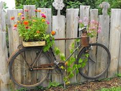 an old bicycle with flowers growing on the front wheel is parked next to a wooden fence