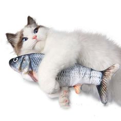 a cat laying on top of a fish toy