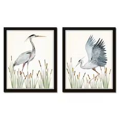 two framed paintings of birds in tall grass