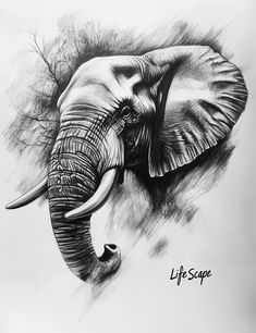 an elephant with tusks is shown in black and white, as well as the words life scope