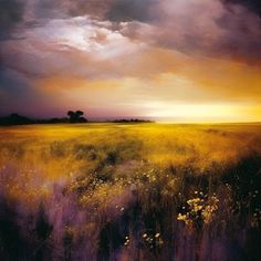 an oil painting of a field at sunset