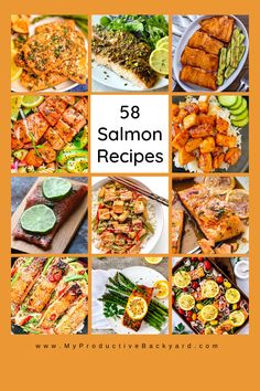 a collage of salmons and other foods with text overlay that reads, seafood recipes