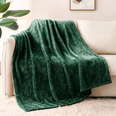 a white couch with a green blanket on it and a plant in the corner next to it