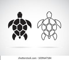 an image of two turtles that are black and white, one is green and the other is red