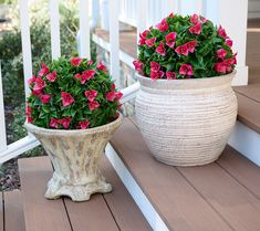 two potted plants sitting on top of a wooden porch next to eachother