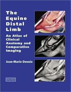 the equine distat limb an atlas of clinicy and comparaative imagiging