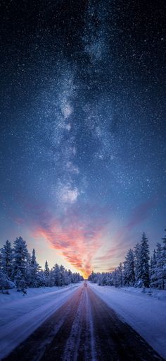 the night sky and stars above a snowy road with trees in the foreground at dusk