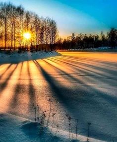 the sun is shining brightly through the trees in the snowy field with snow on the ground