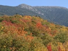 the mountains are covered with colorful trees