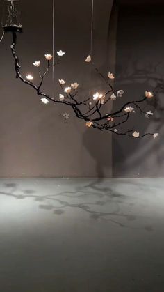 a branch with lights hanging from it in front of a gray wall and white floor