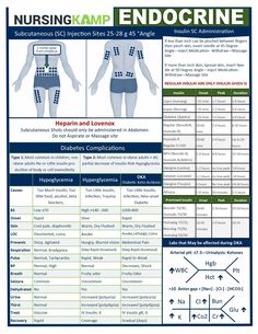 an info sheet with instructions on how to use the endocine