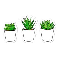 three potted plants with green leaves are shown in the shape of a sticker