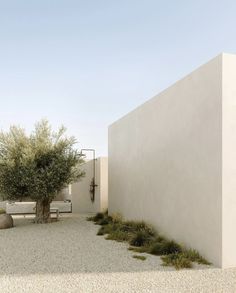 an empty courtyard with a tree and bench