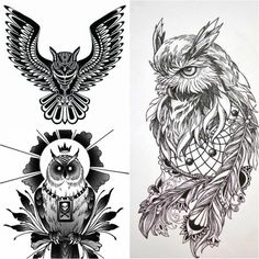 two drawings of an owl, one with wings and the other with feathers on it