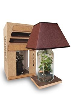 a lamp that is sitting on top of a wooden box with a plant in it