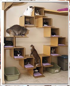 Looking for the purr-fect cat house for your feline friend? Check out these 11 creative cat house ideas that will keep your kitty cozy and entertained. From modern designs to DIY projects, there's something for every cat lover. Give your furry companion the ultimate space to lounge and play with these unique cat house options. Cat Room Decor, Kat Diy, Architectural Concepts, Niche Chat, Cozy Interiors, Cat Towers