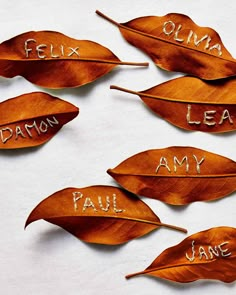 four leaves with words written on them that spell out the names of different people and places