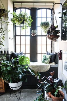 a room filled with lots of potted plants next to a window