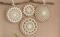 three circular doily hanging on a wall next to a tree branch and planter