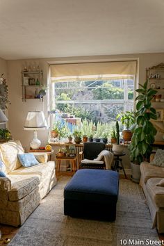 a living room filled with furniture and lots of plants on the windows sills