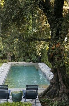 two lawn chairs sitting in front of a swimming pool surrounded by trees and shrubbery