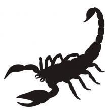 a black and white silhouette of a scorpion