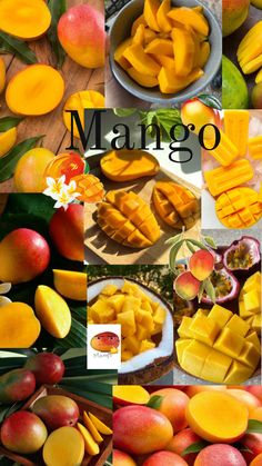 many different pictures of mangos and other fruits