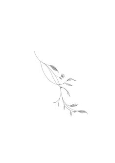 a black and white drawing of a branch with leaves on it's end, against a light gray background