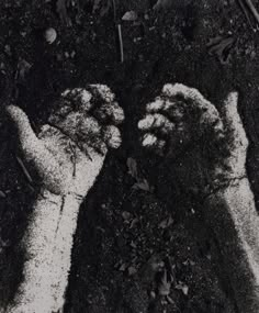 two hands with snow on them are shown in black and white, while the ground is covered by grass