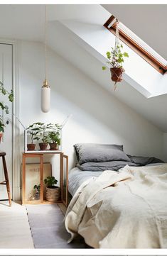 a bed sitting under a skylight next to a wooden table with potted plants on it