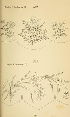 an old book with drawings of flowers and plants on it's pages, including the title page