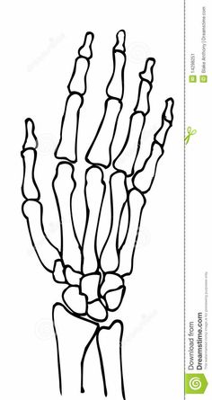 a drawing of a hand holding something