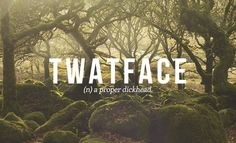 moss covered rocks and trees with the words twaftface in front of them