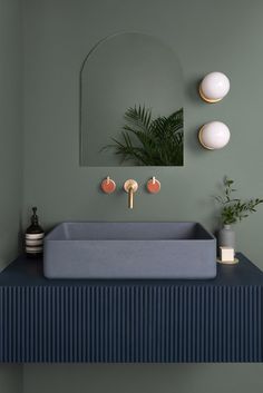 a bathroom sink sitting under a mirror next to a potted plant and other items