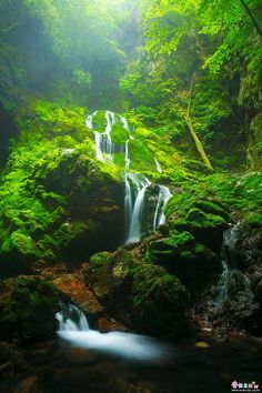 a small waterfall in the middle of a forest with green mossy rocks and trees