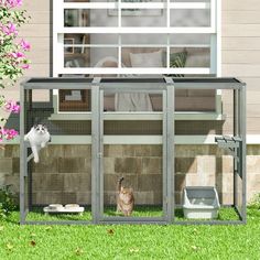 two cats are sitting in an outdoor cat enclosure