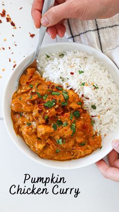 two hands holding a spoon over a bowl of chicken curry with rice and cilantro