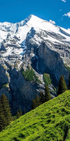 the mountain is covered in snow and green grass