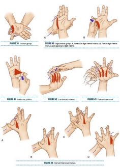 Hand Physiotherapy, Hand Therapy Exercises, Body Massage Techniques, Bolesti Chrbta, Trening Sztuk Walki, Wrist Exercises, Hand Reflexology, Massage Therapy Techniques, Physical Therapy Exercises