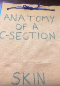 a piece of paper with writing on it that says anatomy of a c - section skin